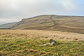 Little Yarlside